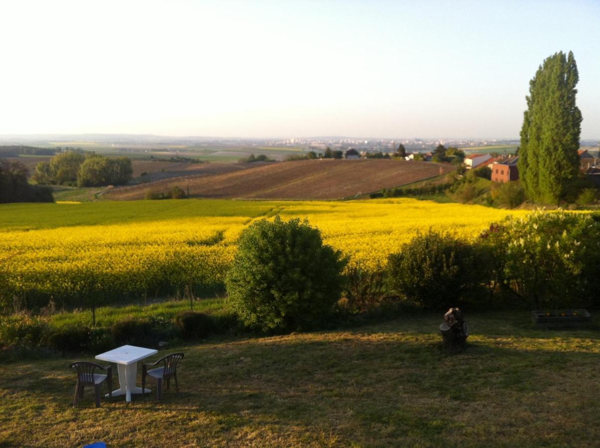 Villa Reims Epernay Champagne Vineyard Villers-Allerand Eksteriør billede