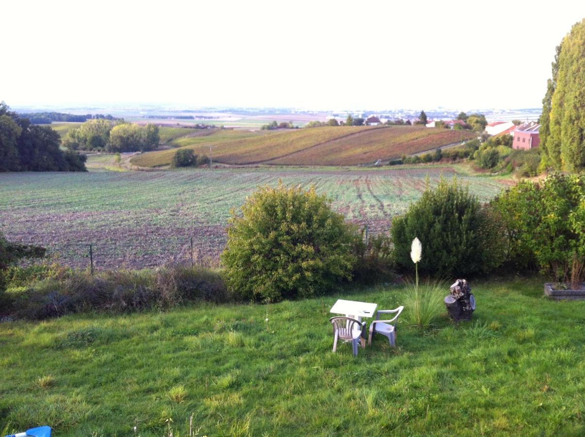 Villa Reims Epernay Champagne Vineyard Villers-Allerand Eksteriør billede